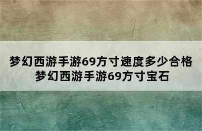 梦幻西游手游69方寸速度多少合格 梦幻西游手游69方寸宝石